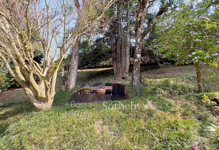 Jardim - Imagem 64