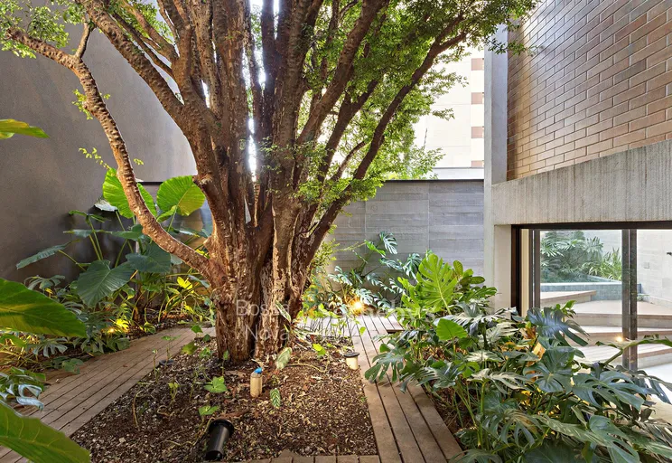 Jardim - Imagem 11