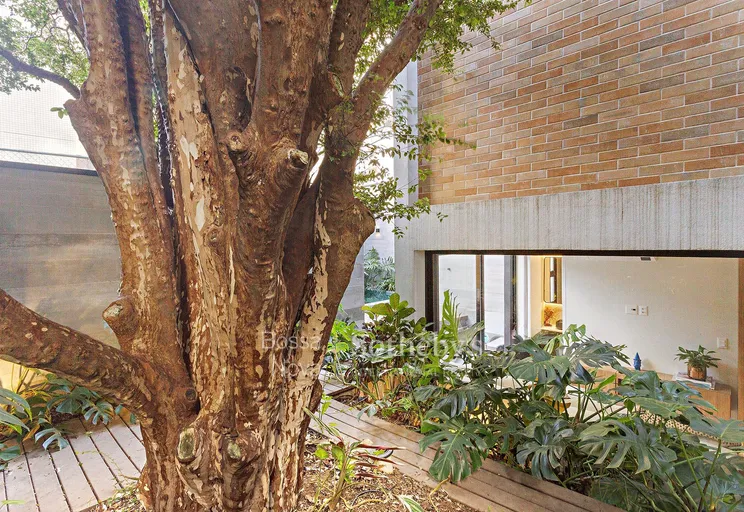 Jardim - Imagem 12