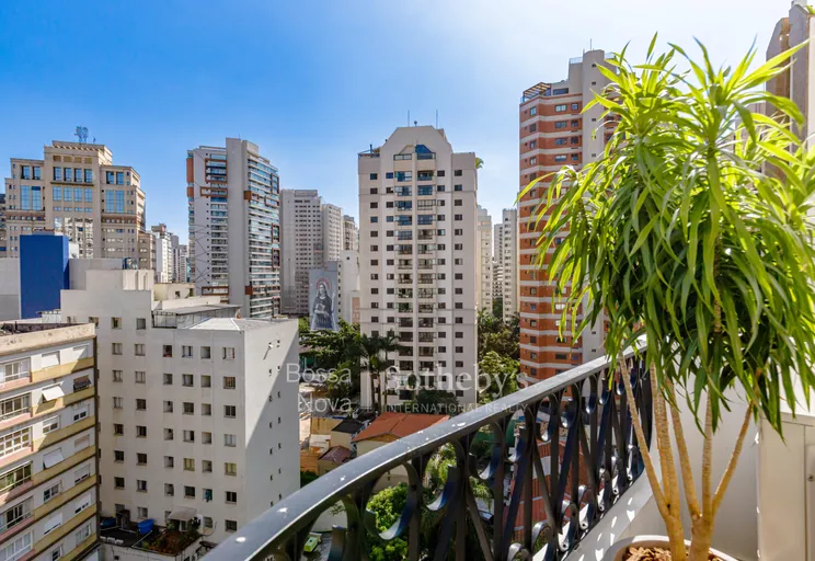 Vista - Imagem 8