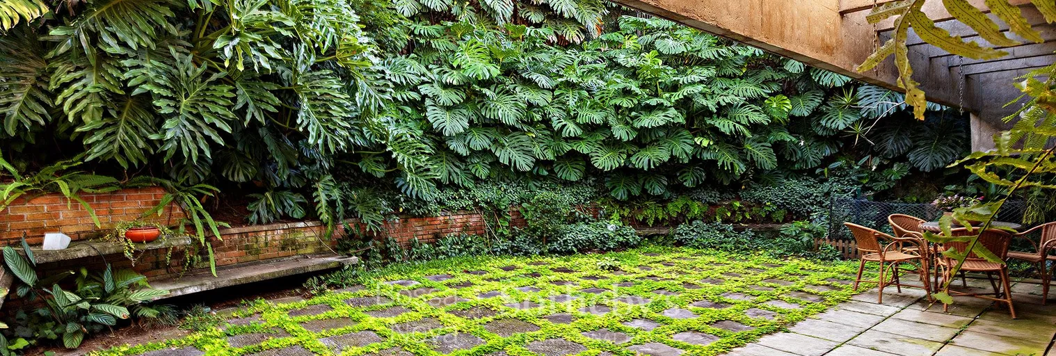 Jardim - Imagem 14
