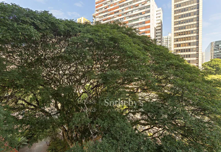 Vista - Imagem 26