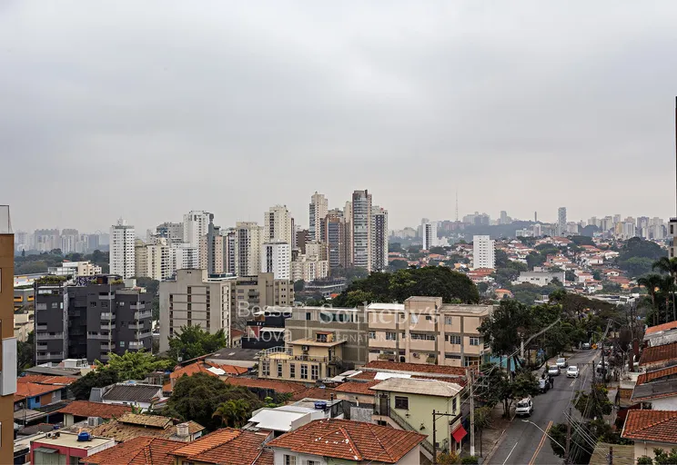 Vista - Imagem 22