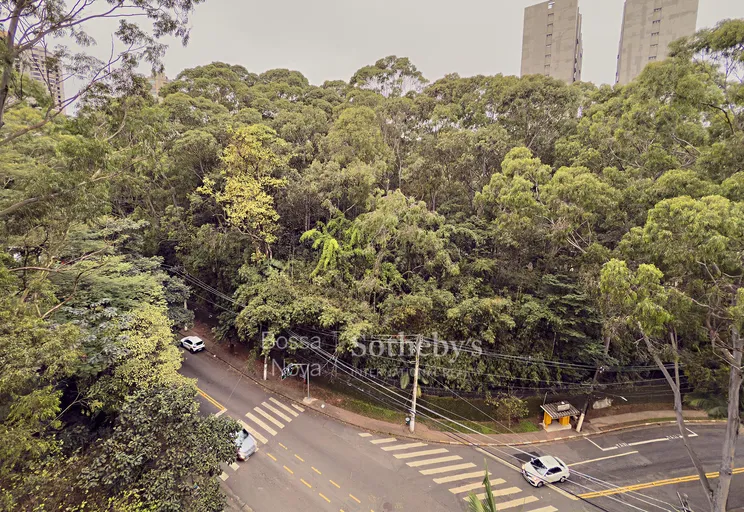 Vista - Imagem 38