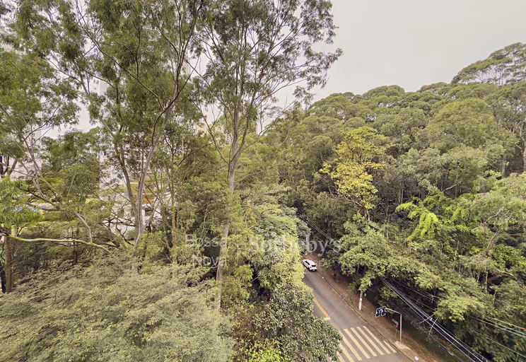 Vista - Imagem 39