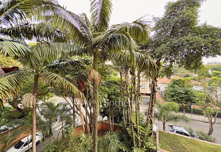 Vista - Imagem 13