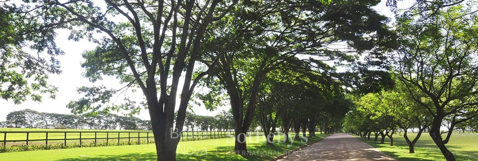 Jardim - Imagem 4