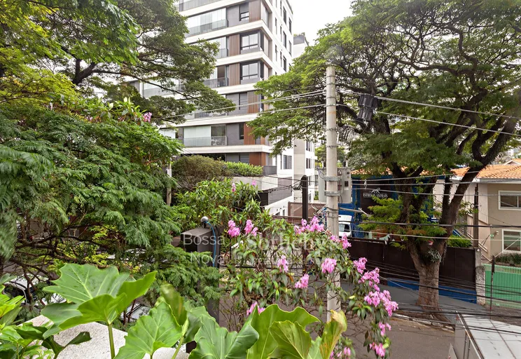 Vista - Imagem 12