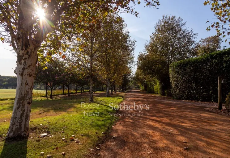 Jardim - Imagem 5