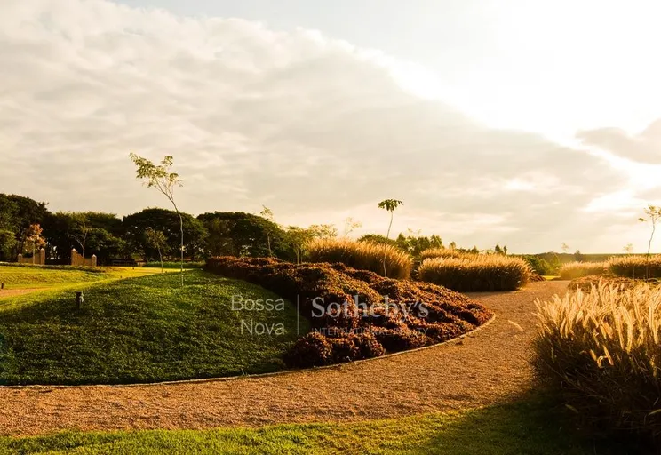 Jardim - Imagem 8