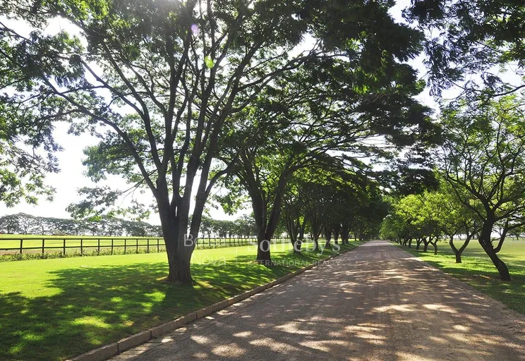 Jardim - Imagem 2