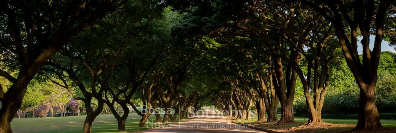 Jardim - Imagem 3