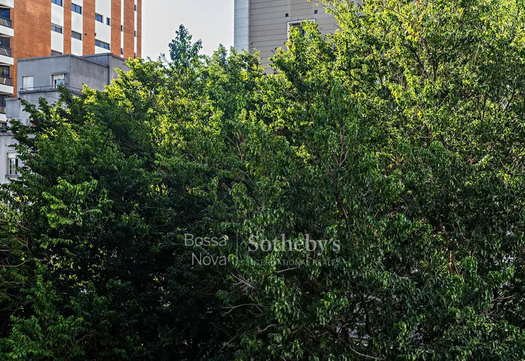 Vista - Imagem 4