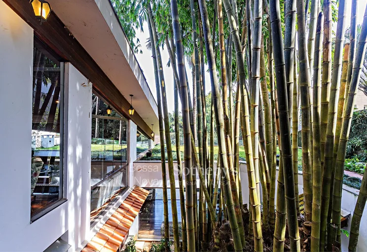 Jardim - Imagem 25