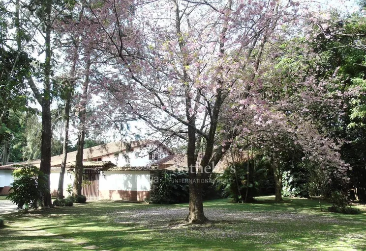 Jardim - Imagem 4