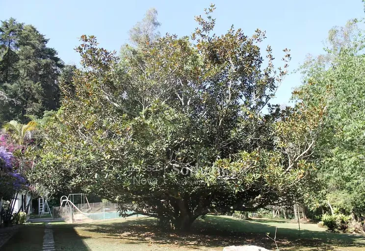 Jardim - Imagem 7