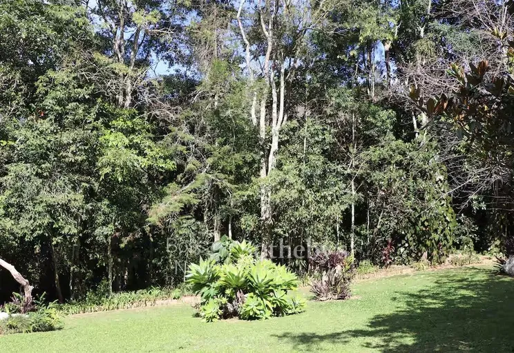 Jardim - Imagem 6