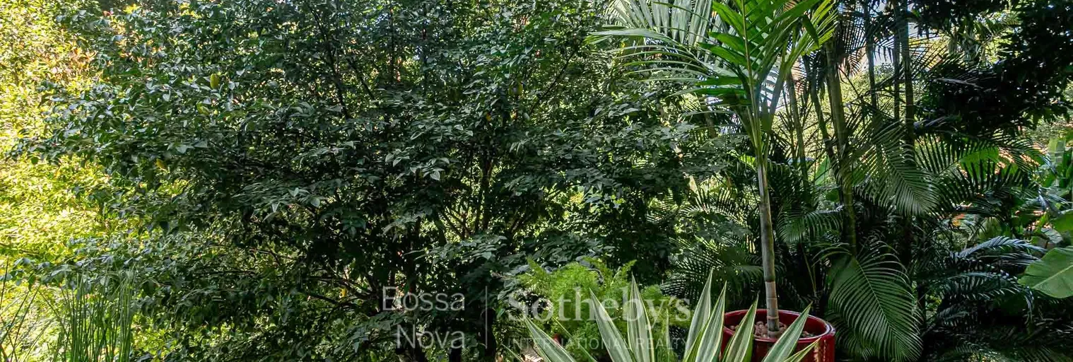 Jardim - Imagem 34