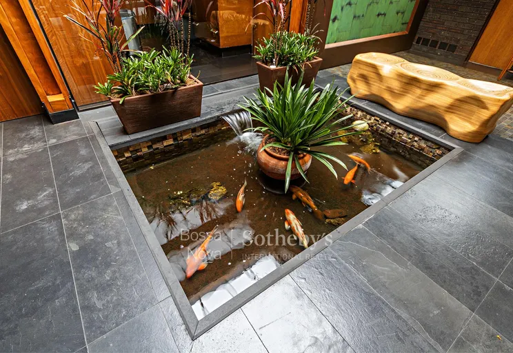 Espelho d'água - Imagem 9