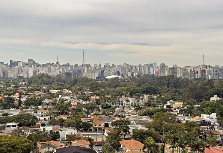 Vista - Imagem 41
