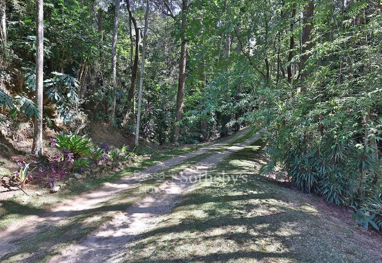 Jardim - Imagem 47