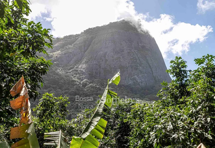 Vista - Imagem 3