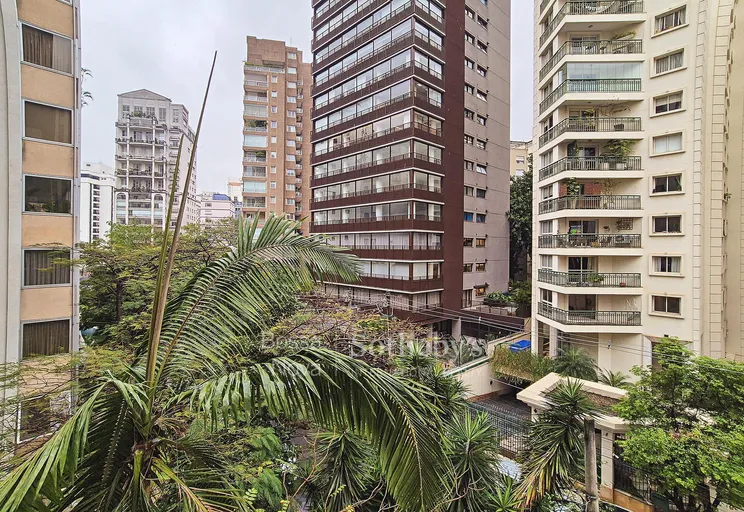 Vista - Imagem 10