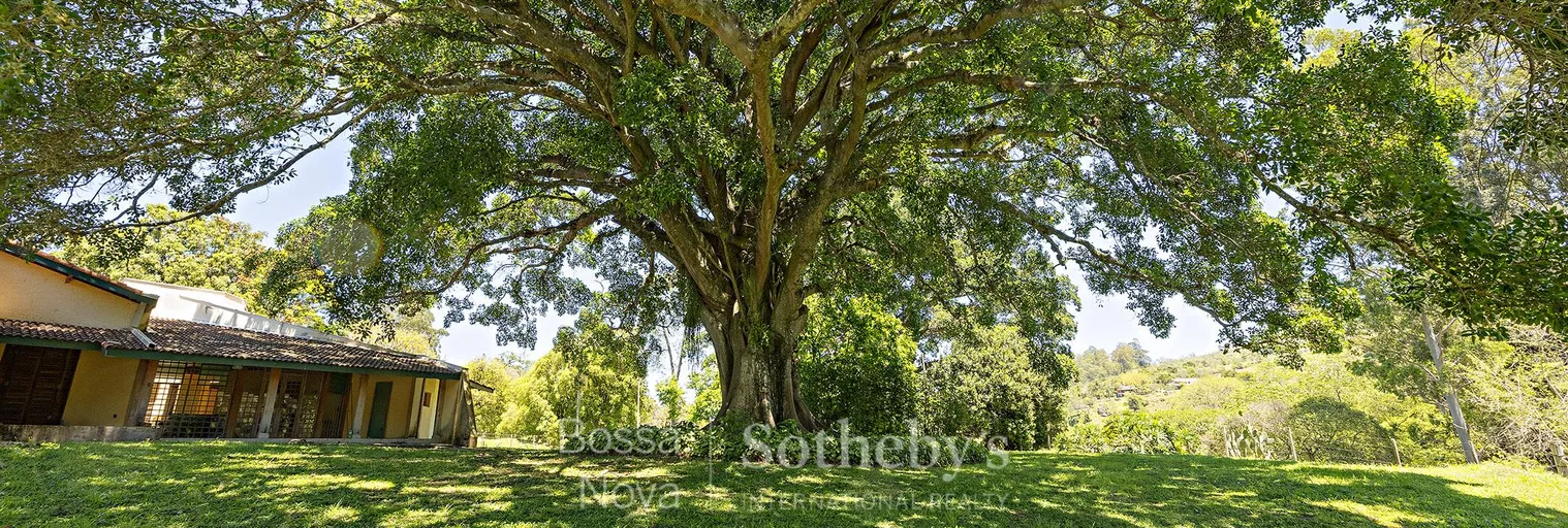 Jardim - Imagem 37