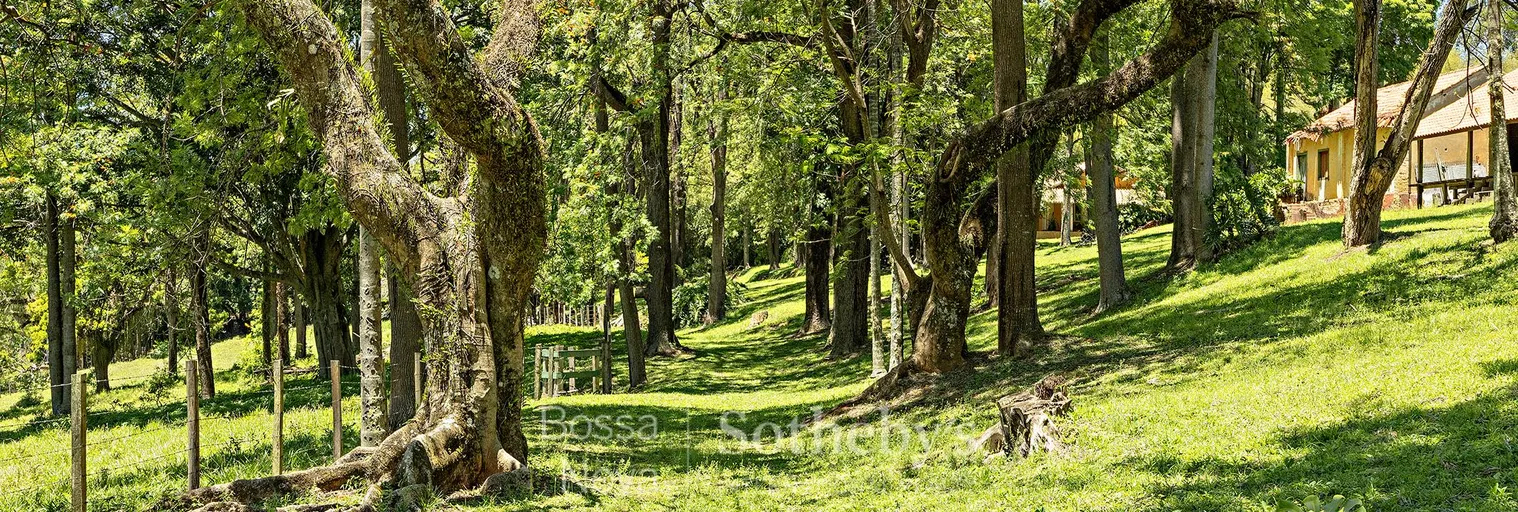 Jardim - Imagem 43