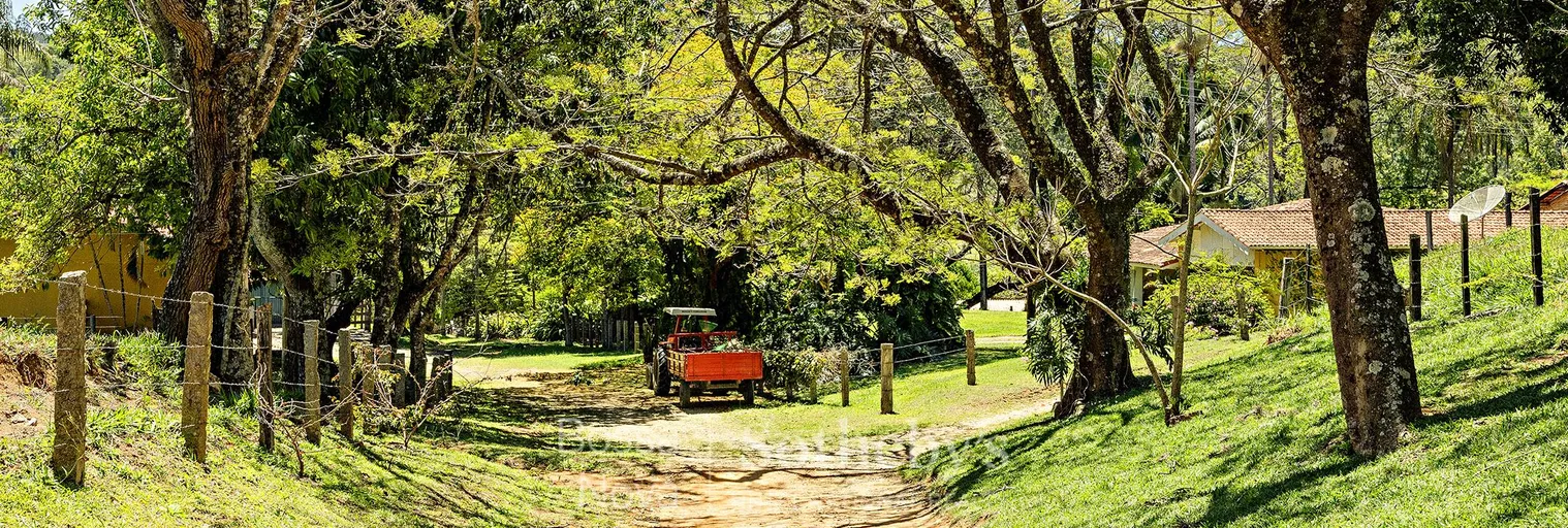 Jardim - Imagem 2