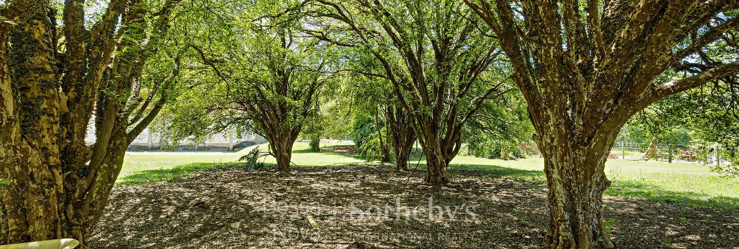 Quintal - Imagem 39