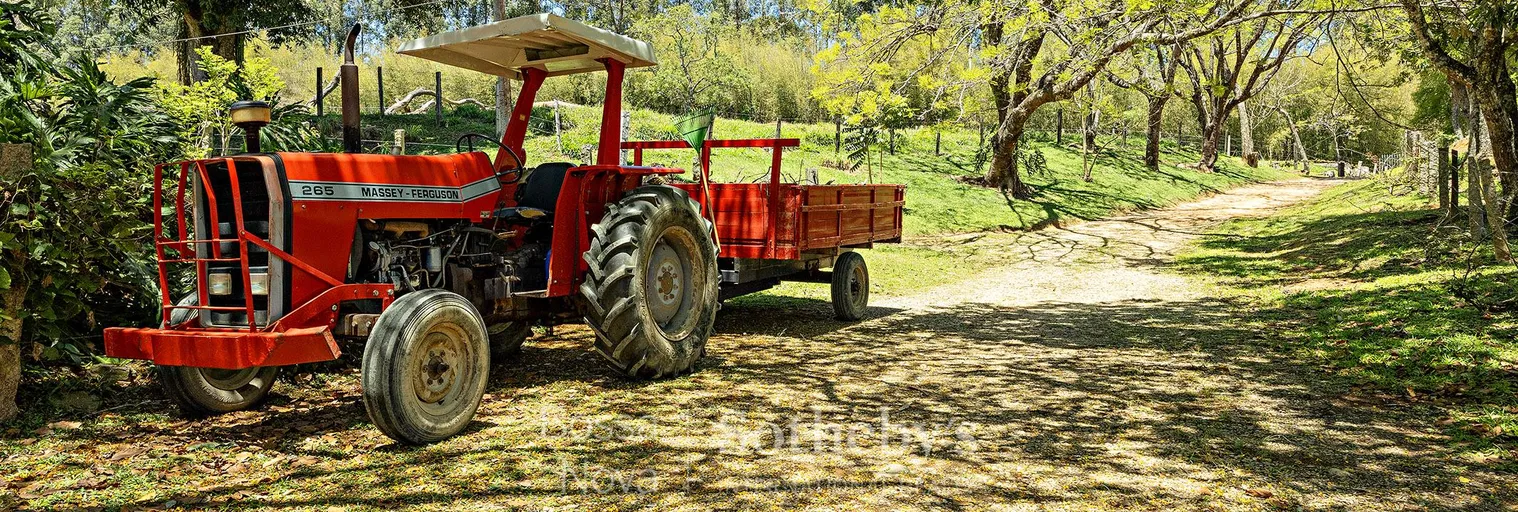 Jardim - Imagem 21